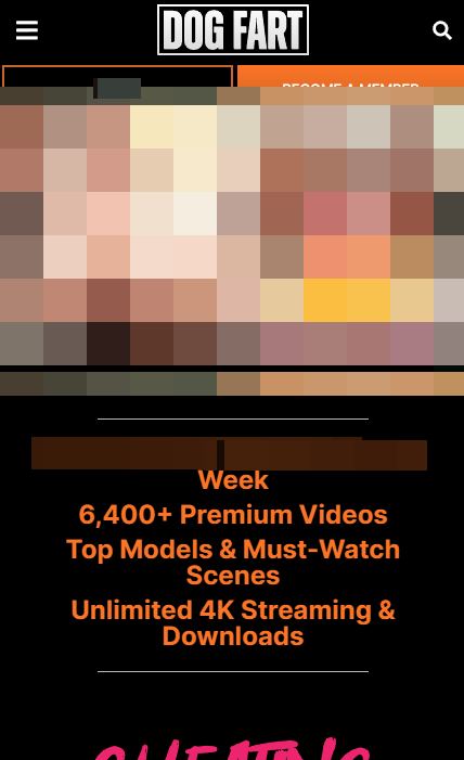 DogfartNetwork mobile screenshot