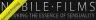 NubileFilms logo