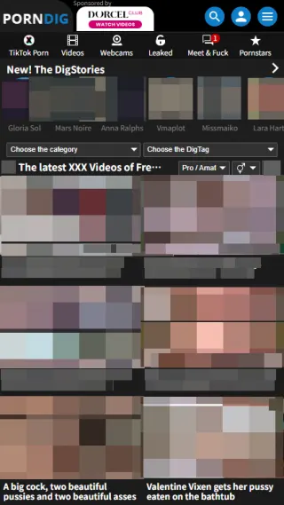 PornDig mobile screenshot