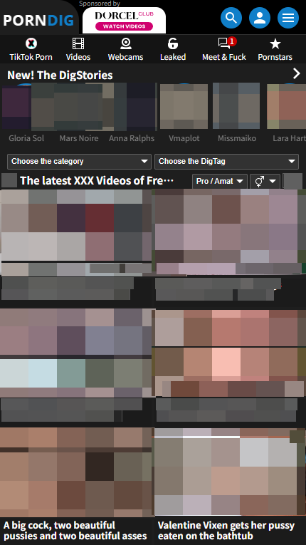 PornDig mobile screenshot