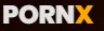 PornX logo